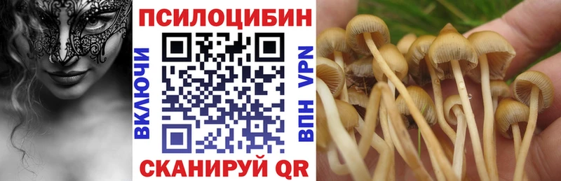 Галлюциногенные грибы MAGIC MUSHROOMS  купить наркотики сайты  Обь 
